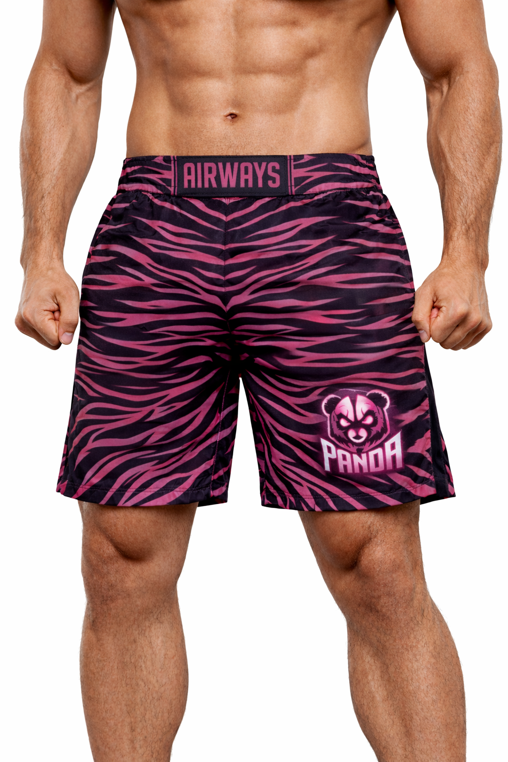 TJ Airways Versus 17 Fight Shorts